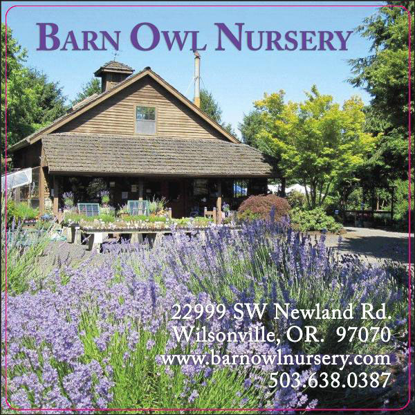 Barn Owl Nursery - Herb & Lavender Farm Barn Owl Nursery - Herb & Lavender Farm