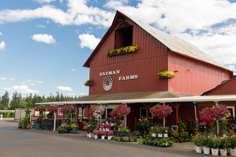 Bauman's Farm & Garden in Oregon Bauman's Farm & Garden in Oregon