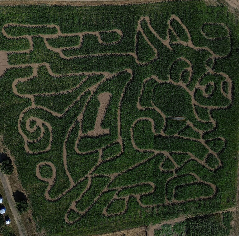 Corn Maze at Plumper Farms