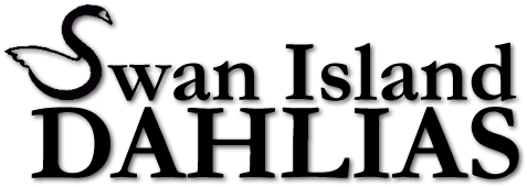 Swan Island Dahlias Swan Island Dahlias