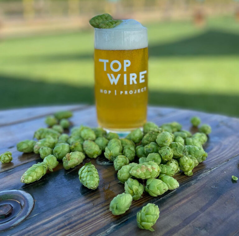 TopWire Hop Project - Beer