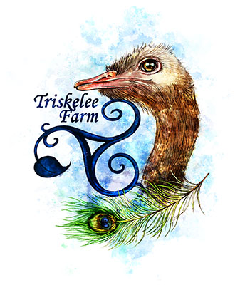 Triskelee Farm Triskelee Farm