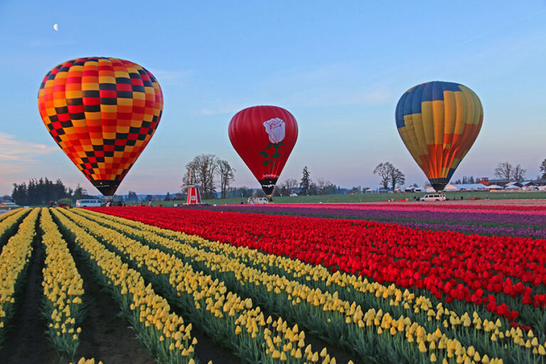 Hot Air Balloons at Wooden Shoe Tulip Farm Hot Air Balloons at Wooden Shoe Tulip Farm