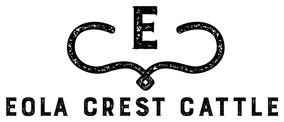Eola Crest Cattle