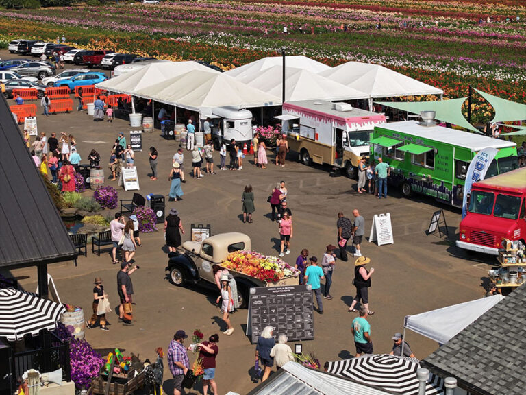 Festival Swan Island Dahlias Festival Swan Island Dahlias