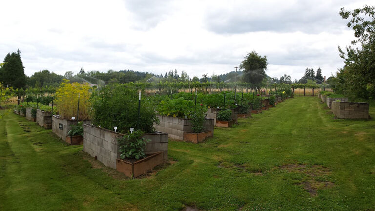 fiala farms 2 768x432