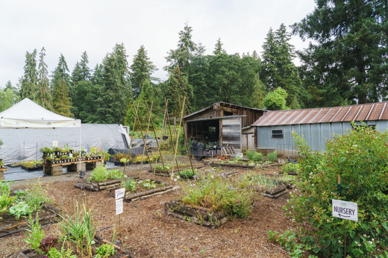 Green Seed Gardens Design Nursery