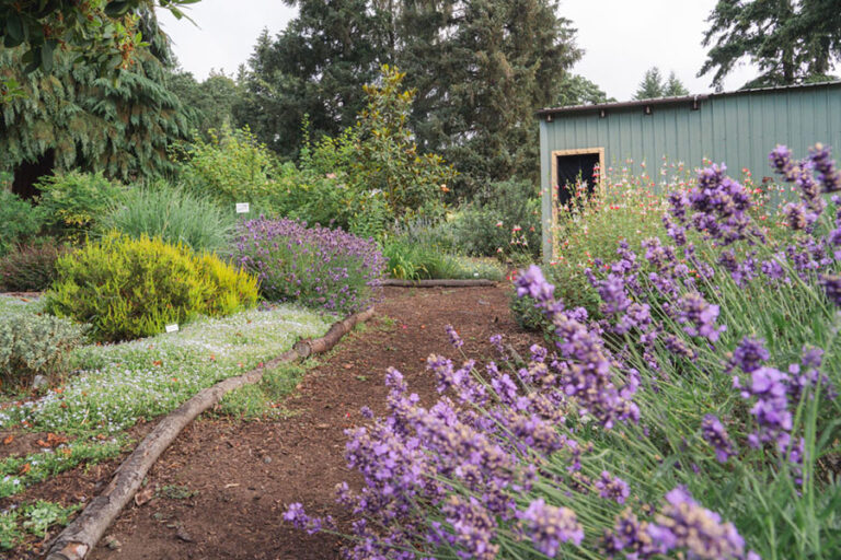 Green Seed Gardens in Oregon