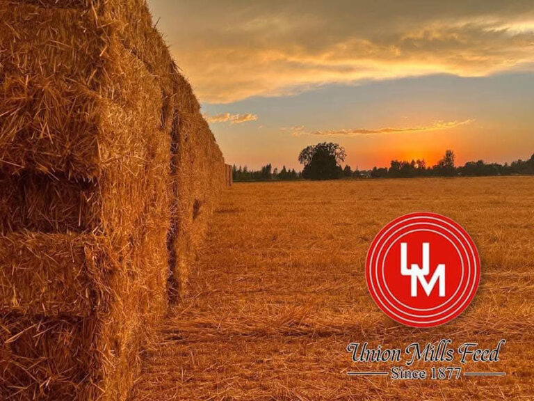 Union Mills Feed since 1877