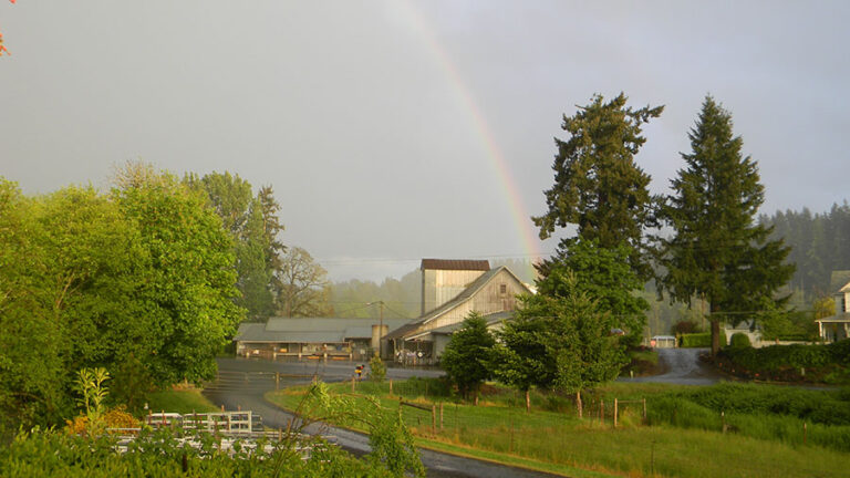 Union Mills Feed in Mulino, Oregon with Rainbow