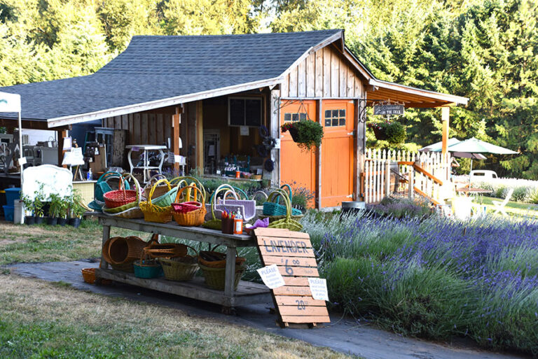 Farm Store with baskets at Wayward Winds