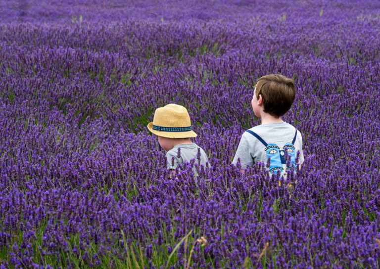 Wayward Winds kids in lavender