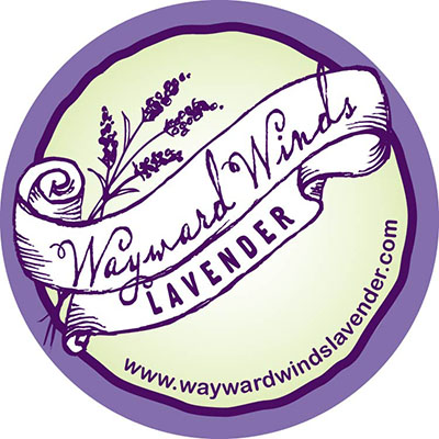 Wayward Winds Lavender