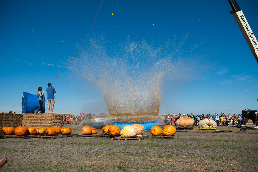 Bauman's Giant Pumpkin Drop