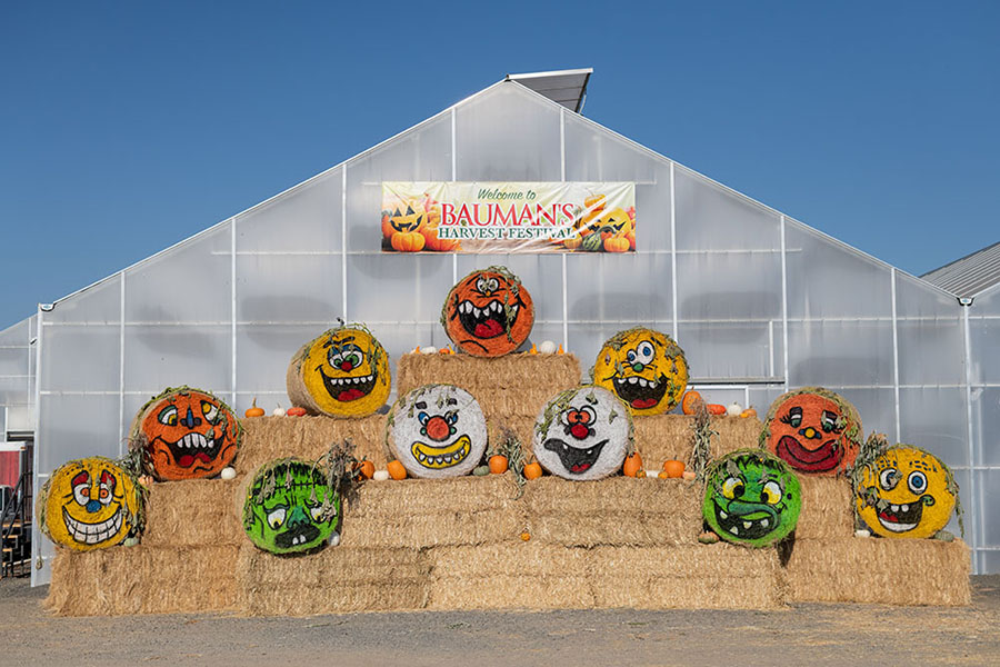 Bauman's Harvest Festival