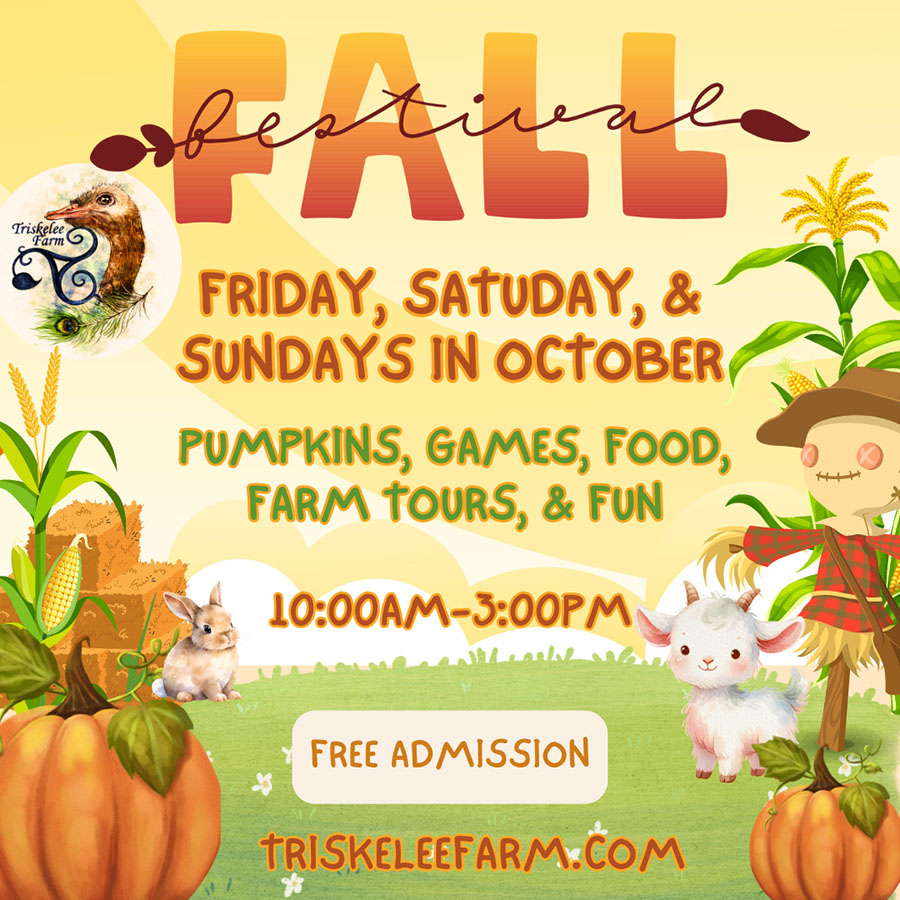 2025 Fall Festival at Triskelle Farm