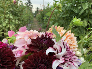 Florist in Aurora Oregon - Happy Hen Gardens