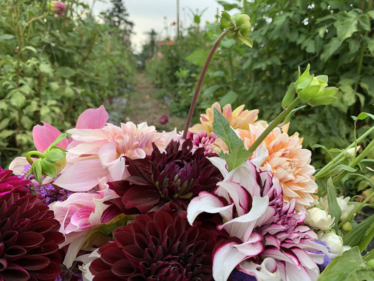 Florist in Aurora Oregon - Happy Hen Gardens Florist in Aurora Oregon - Happy Hen Gardens